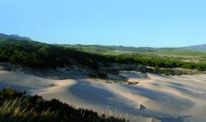 Actividades en espacios protegidos de Cádiz para difundir el gran patrimonio ambiental de Andalucía