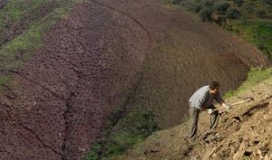 El paro interanual desciende en Andalucía en noviembre