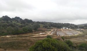 Las salinas de Iptuci se encuentran en el Parque Natural de los Alcornocales.