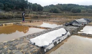 Las salinas de Iptuci se encuentran en el Parque Natural de los Alcornocales.