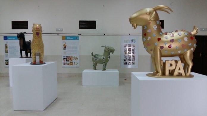 Algunas de las obras de la exposición ‘Sensaciones de la Sierra. Las cabras payoyas’ que puede visitarse en Medina Sidonia.