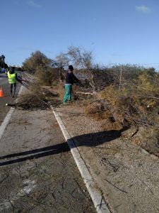 Comienzan las obras para ampliar la carretera de acceso a Sancti Petri