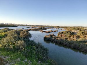 Abierto plazo de participación en el Concurso Fotográfico del Día de los Humedales en los Toruños