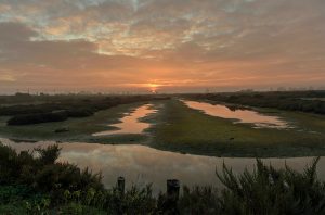 Soraya Gutiérrez primer premio del concurso fotográfico de los Humedales