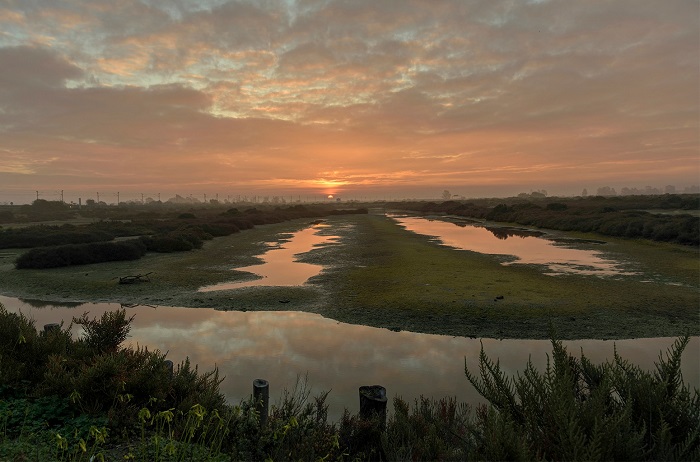 Soraya Gutiérrez primer premio del concurso fotográfico de los Humedales