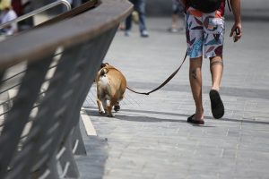 Habrá franjas horarias para salir a la calle a partir del 2 de mayo