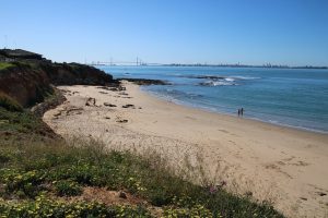 Destinan a El Puerto el mayor número de vigilantes de playas de la provincia