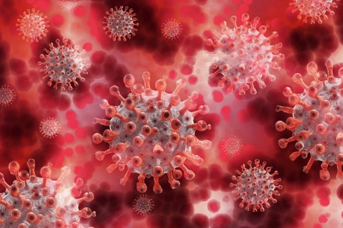 Cádiz mantiene un bajo ritmo de nuevos contagios de coronavirus