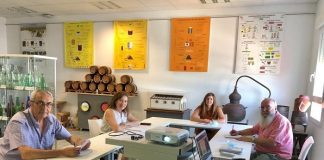 Cádiz colabora en la promoción y difusión del yacimiento de Asta Regia