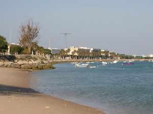 Cerrado temporalmente al baño la playa de Río San Pedro de Puerto Real