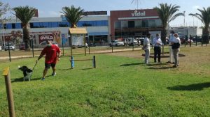 Primer parque de esparcimiento canino junto al puente VII Centenario