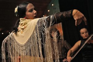 fondo de archivo flamenco