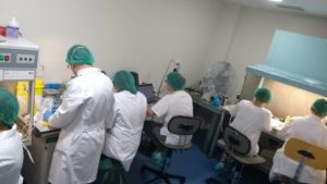 La investigación la lleva un equipo del Departamento de Biomedicina, Biotecnología y Salud Pública de la Universidad de Cádiz (UCA) y del Instituto de Investigación e Innovación en Ciencias Biomédicas de Cádiz (Inibica).