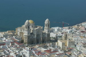 Cádiz se adhiere a la campaña #UnÁrbolPorEuropa