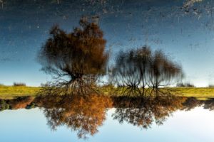 Fotografía titulada Noche y día en la Laguna de la Algaida, del isleño José Manuel García Lanceta, la más votada entre las finalistas de la XIII edición del Concurso de Fotografías del Día Mundial de los Humedales.