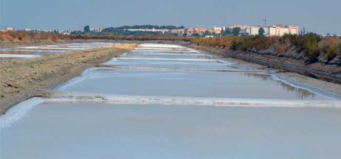 El proyecto ‘MedArtSal’ pone en marcha un programa de ayudas directas a salinas costeras artesanales