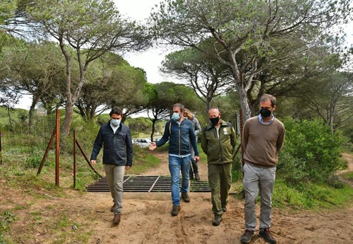 Realizan trabajos de clareo en el Parque de la Breña para garantizar la salud del monte