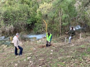 Grazalema y Benamahoma celebran también este año el programa 'Un niño, un árbol'