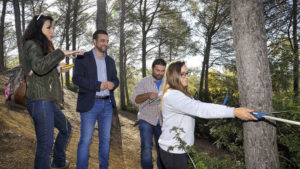 Aprobación del Plan Técnico de Ordenación del parque forestal de Las Aguilillas