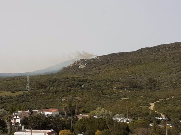 Estabilizado un incendio forestal en Benalup-Casas Viejas tras calcinar una hectárea