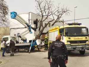 Atendidas unas 70 incidencias a causa del viento en la provincia