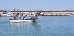 La Junta licita la redacción del proyecto de ampliación del puerto pesquero de Bonanza en Sanlúcar de Barrameda.