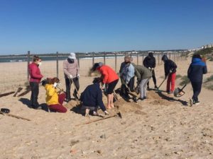 Voluntarios de la playa de Levante en El Puerto retiran 1.890 kilos de uña de gato y basura