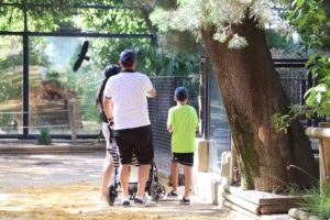 Cerrados el Zoobotánico y parques públicos de Jerez debido al fuerte viento