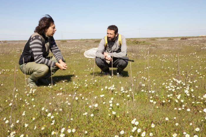 Constatan como un leve cambio en las relaciones existentes en un ecosistema determina el comportamiento de sus especies