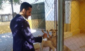 Un total de 140.000 euros para el centro de animales abandonados ubicado en Villamartín