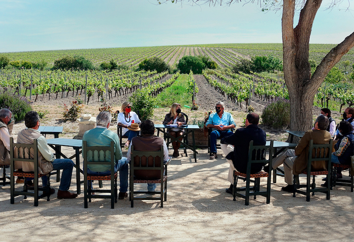 Proponen a los viñedos de Jerez un proyecto global para optar a los Fondos Next Generation