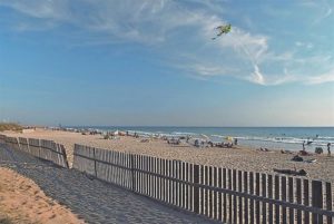 'En verano, un mar de actividades'