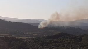 Estabilizado el incendio forestal declarado en un paraje de Los Barrios