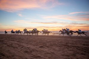 Medios nacionales recorren Andalucía para conocer su oferta de turismo ecuestre