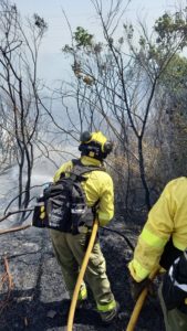 Vuelven a sus viviendas las 12 personas que seguían desalojadas por el incendio de Tarifa