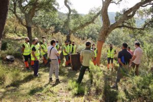 El Parque Natural Los Alcornocales acoge la tercera edición de la Escuela de Corcheros