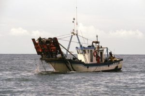 pesca de la chirla