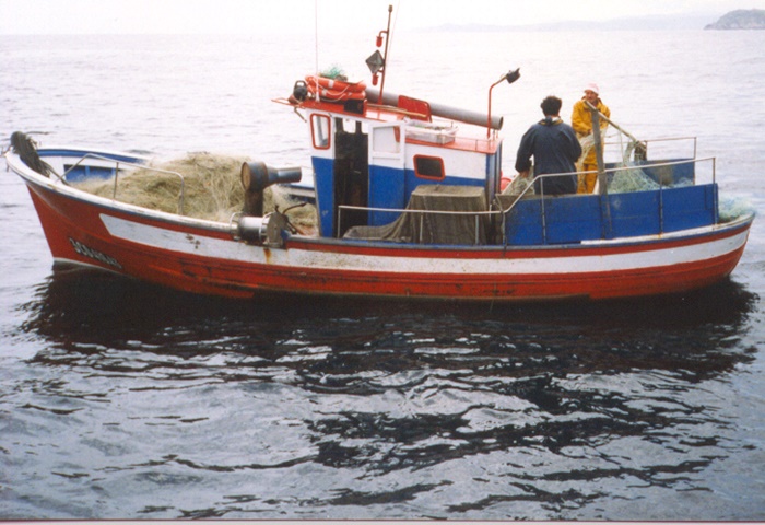 pesca artesanal del pulpo