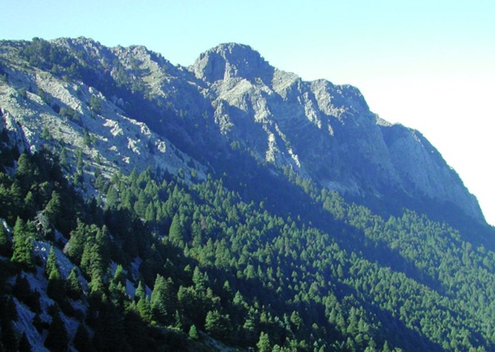 Parque Natural Sierra de Grazalema