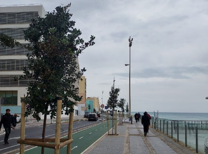 Paseo Marítimo