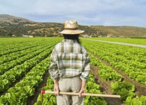 Feminismo Rural