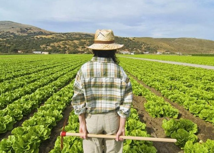 Feminismo Rural