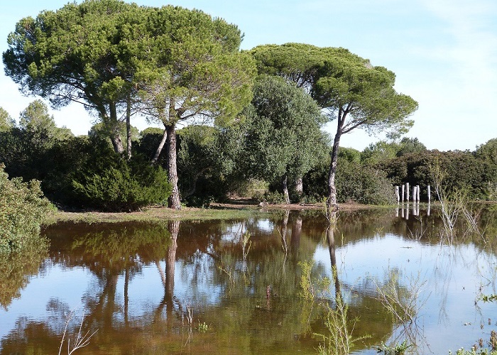 El Parque de los Toruños