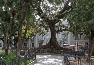 plaza de Mina 