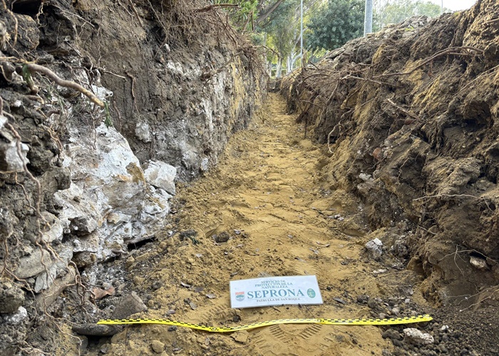 yacimiento arqueológico Carteia